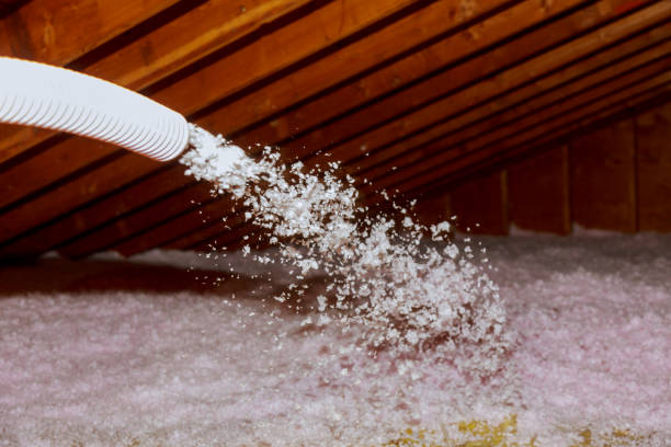 Best Affordable Insulation Services  in Elroy, WI