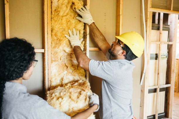 Best Garage Insulation Installation  in Elroy, WI