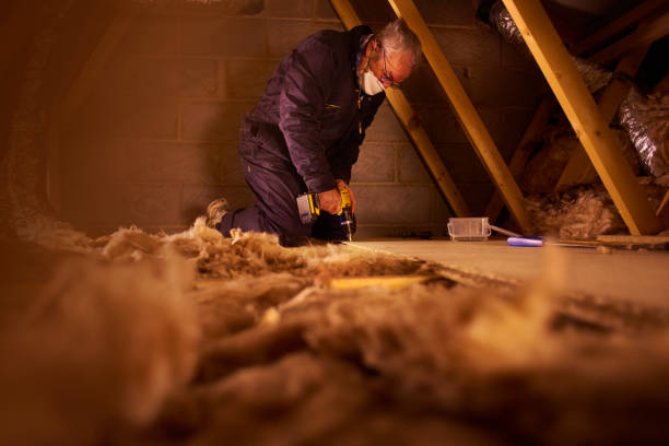 Best Fiberglass Insulation  in Elroy, WI